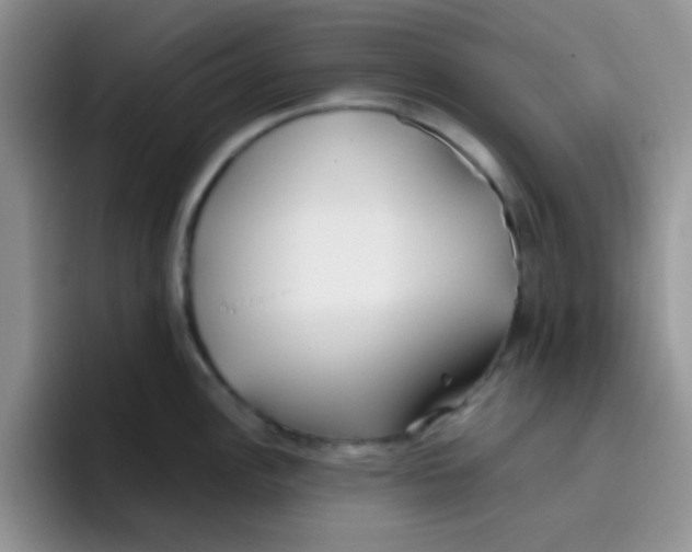 X0000095911148200802081048