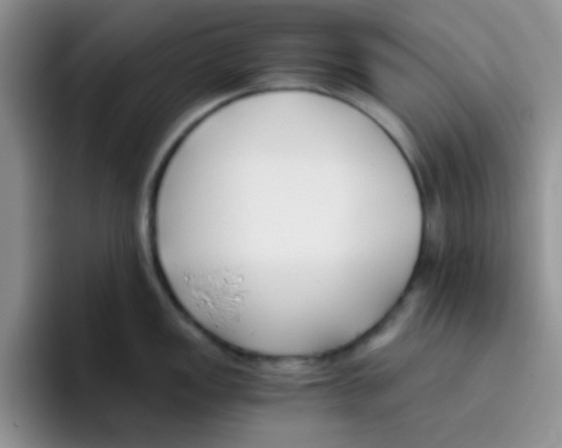 X0000095911149200802081048