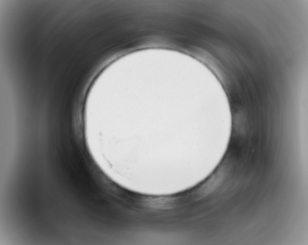 X0000095911150200802081048