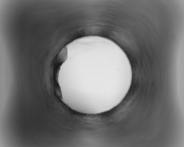 X0000095911153200802081047