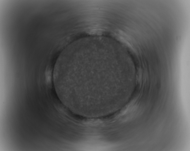 X0000095911154200802081047