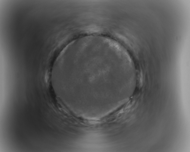 X0000095911157200802081047