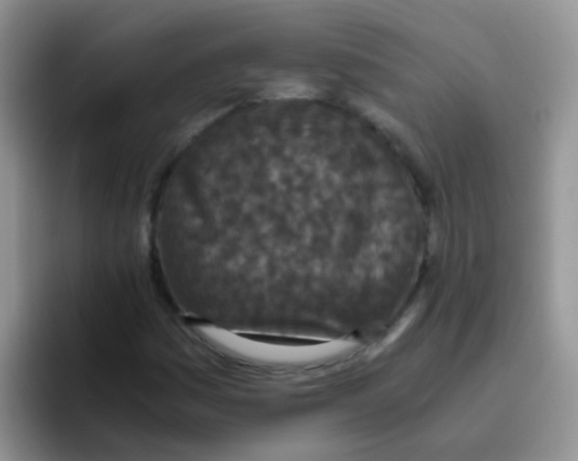 X0000095911161200802081047