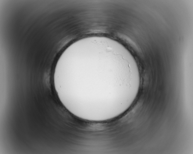 X0000095911162200802081047