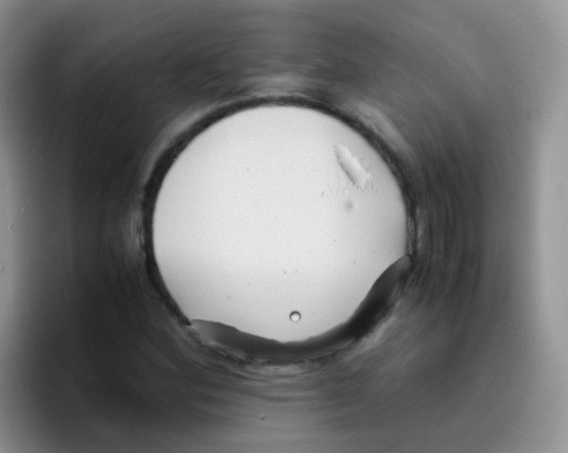 X0000095911164200802081047