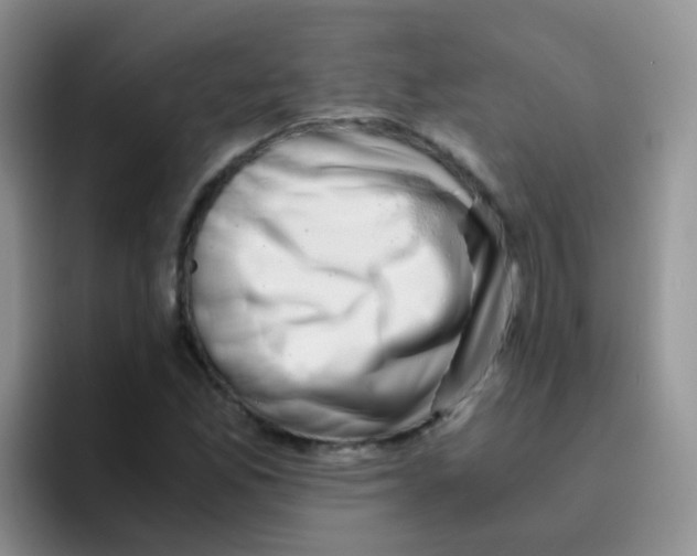 X0000095911165200802081047