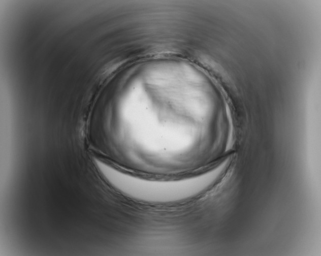 X0000095911169200802081047