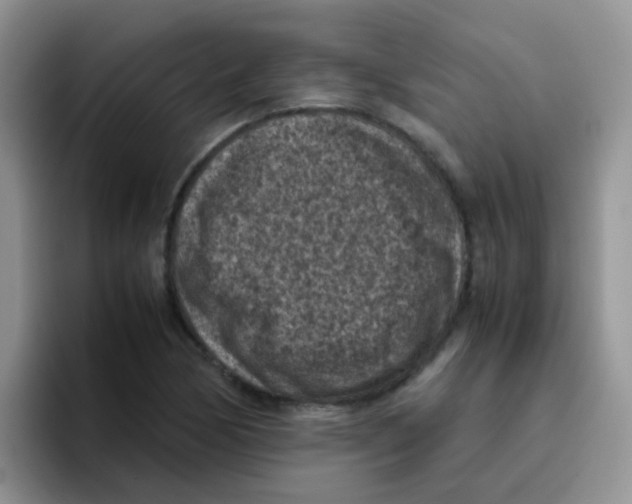 X0000095911170200802081047