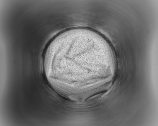 X0000095911171200802081047