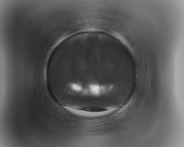 X0000095911173200802081047