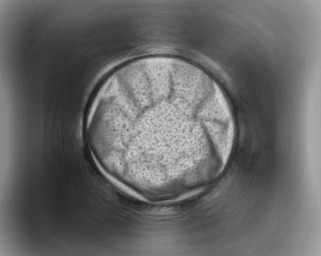 X0000095911174200802081047