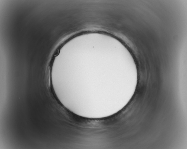 X0000095911175200802081047