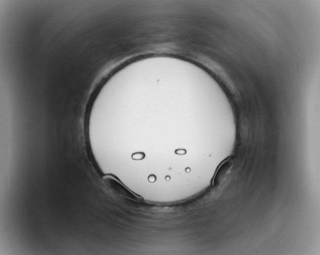 X0000095911176200802081047