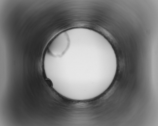 X0000095911178200802081047