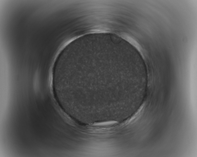 X0000095911179200802081047