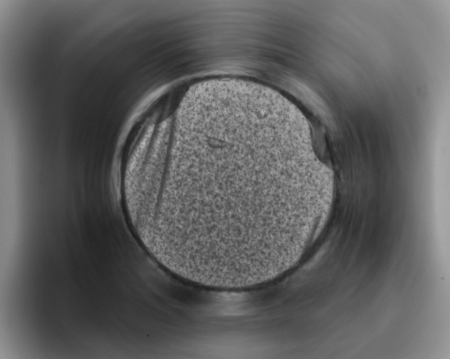 X0000095911180200802081047