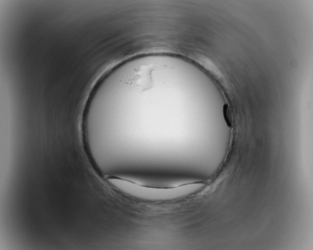 X0000095911181200802081047