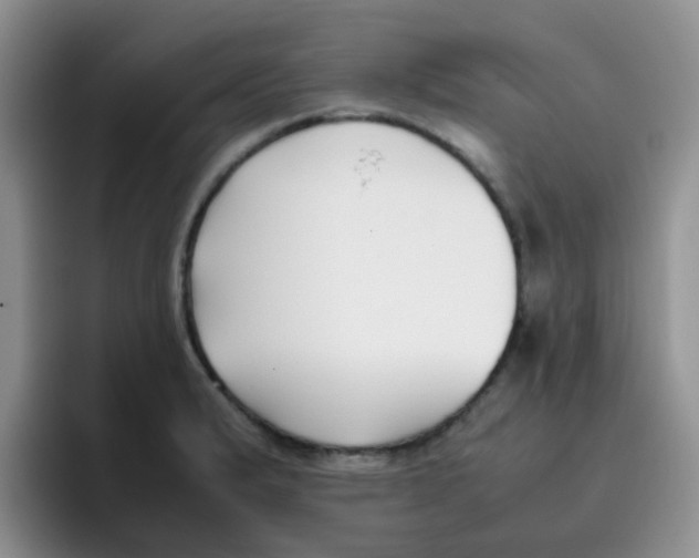 X0000095911183200802081047