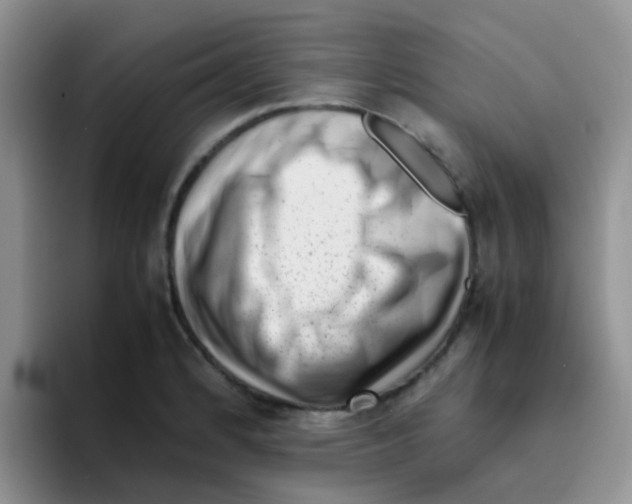 X0000095911184200802081047