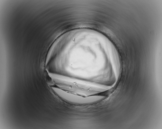 X0000095911185200802081046