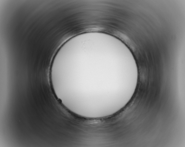 X0000095911186200802081046