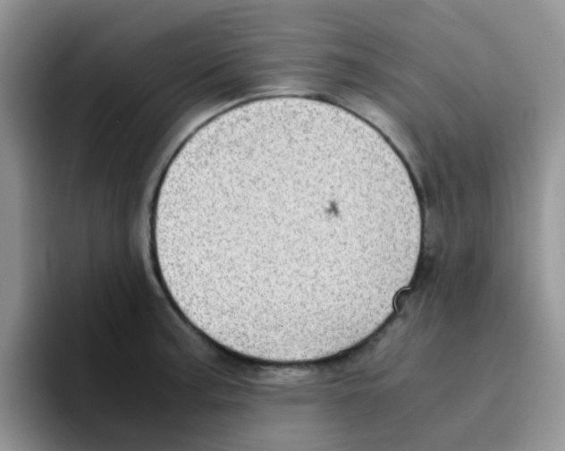 X0000095911187200802081046