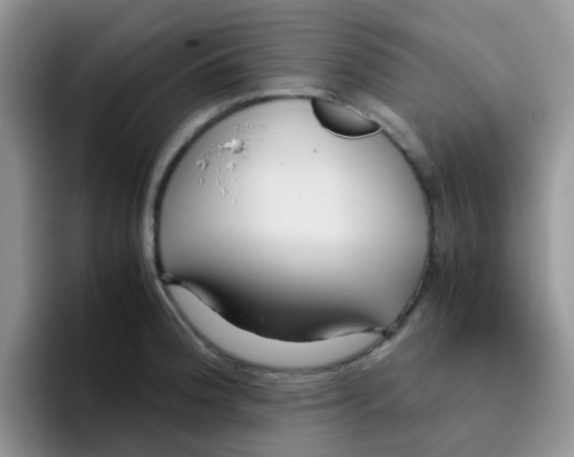 X0000095911188200802081046