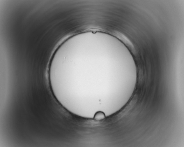 X0000095911190200802081046