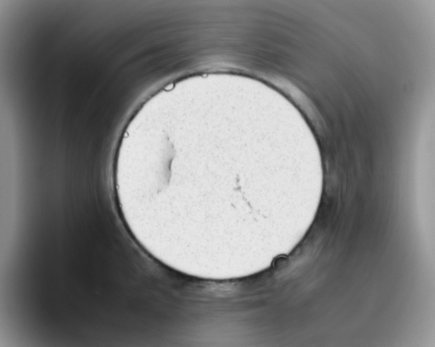 X0000095911191200802081046