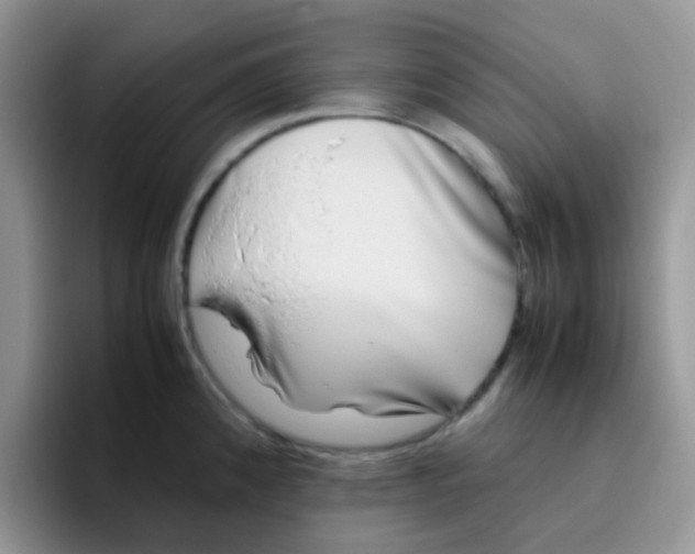 X0000095911192200802081046