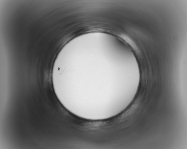 X0000095911193200802081046