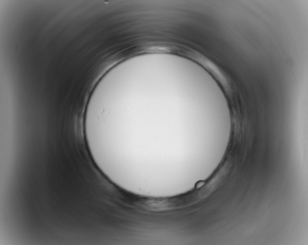 X0000095911194200802081046