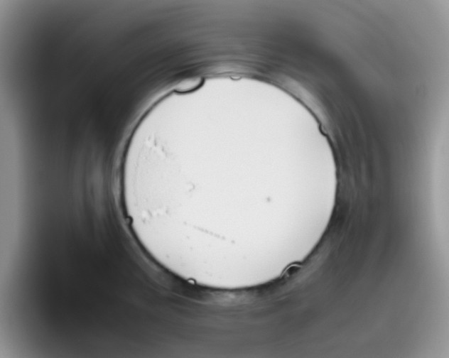 X0000095911195200802081046