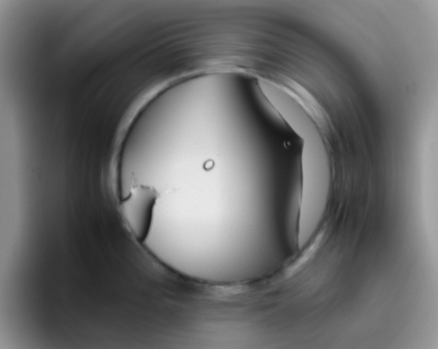 X0000095911196200802081046