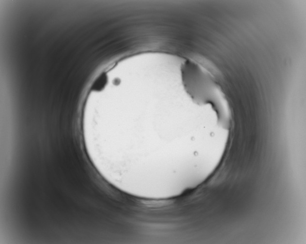 X0000095911200200802081046