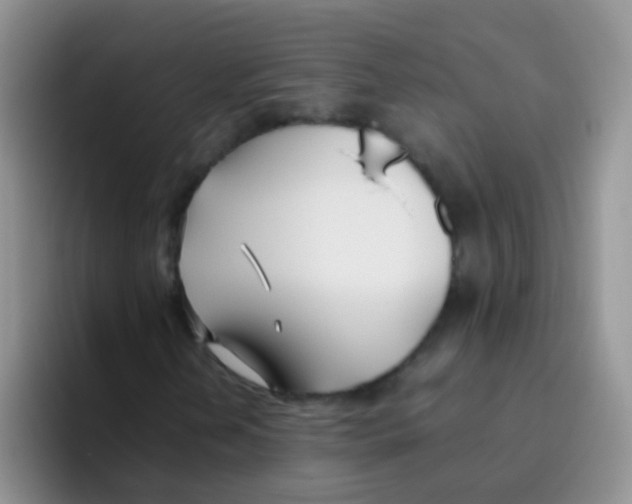 X0000095911202200802081046