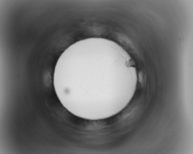 X0000095911203200802081046