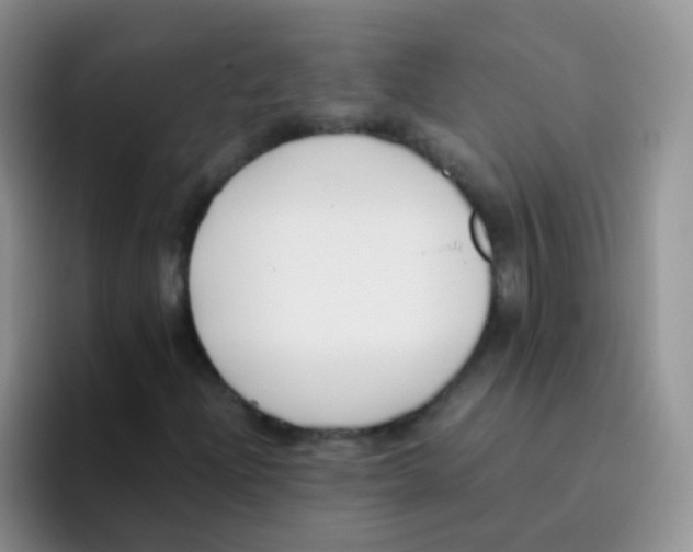 X0000095911204200802081046