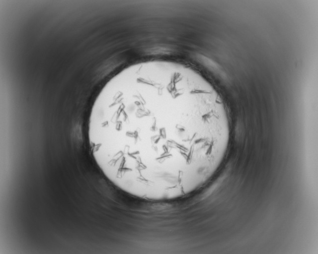 X0000095911209200802081046