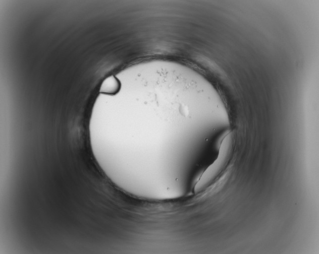 X0000095911210200802081046