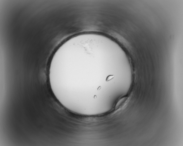 X0000095911212200802081046