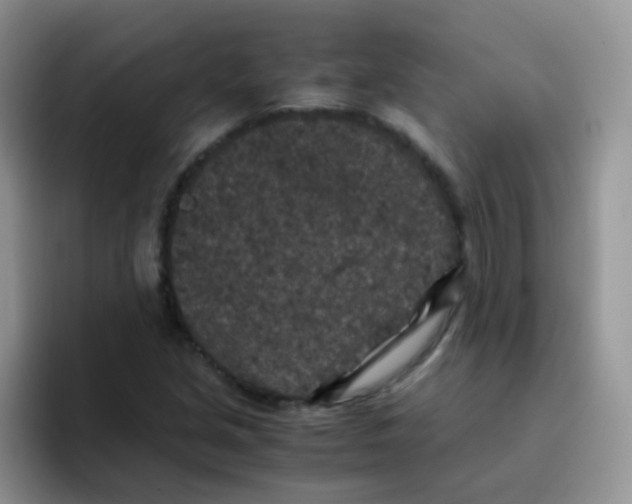 X0000095911213200802081046