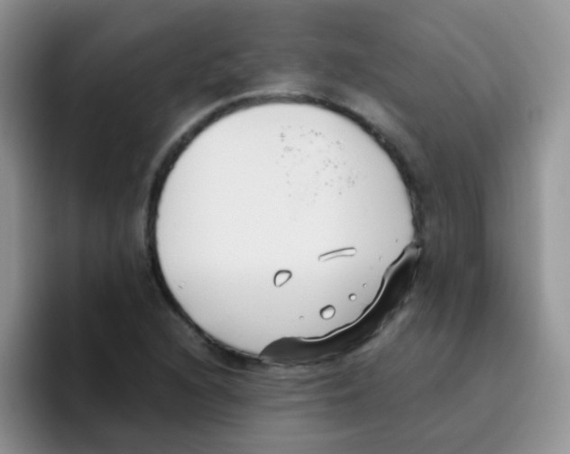 X0000095911216200802081046