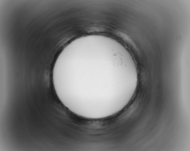 X0000095911217200802081046