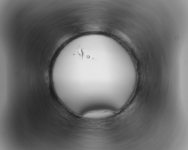 X0000095911218200802081046