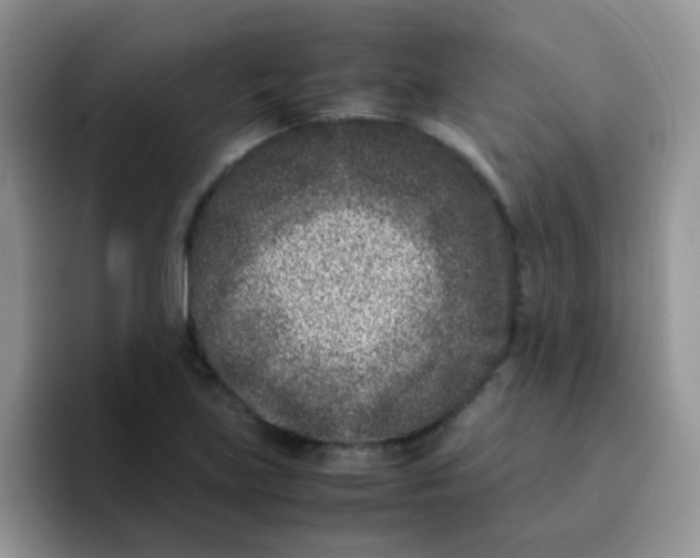 X0000095911219200802081046