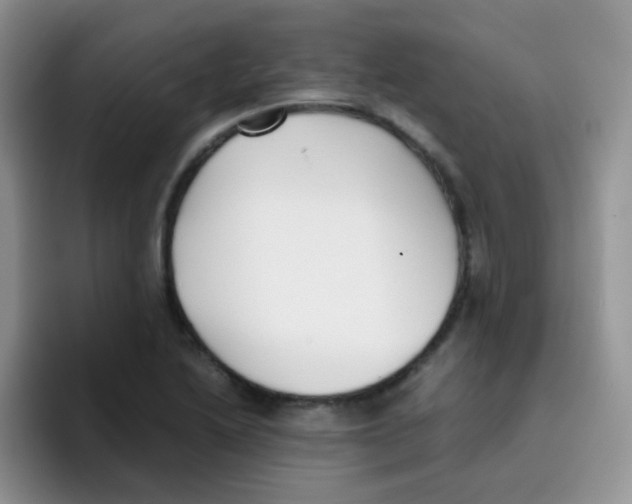 X0000095911222200802081046