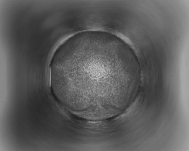 X0000095911223200802081046