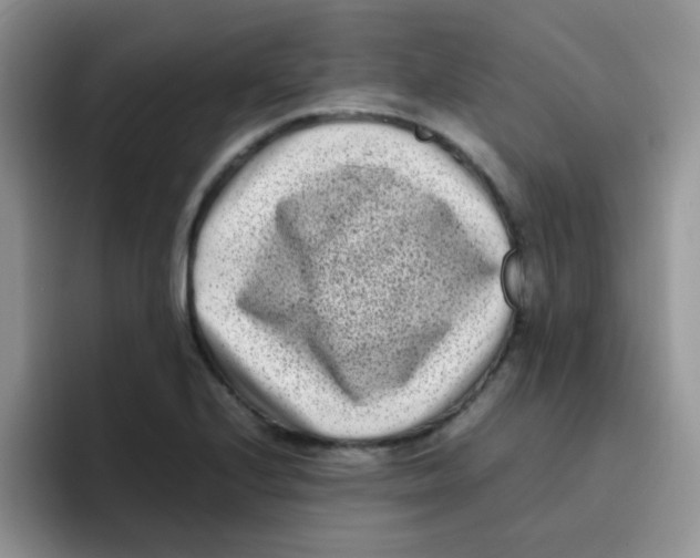 X0000095911224200802081046