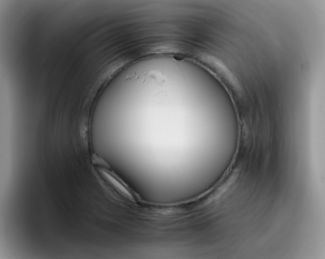 X0000095911225200802081046